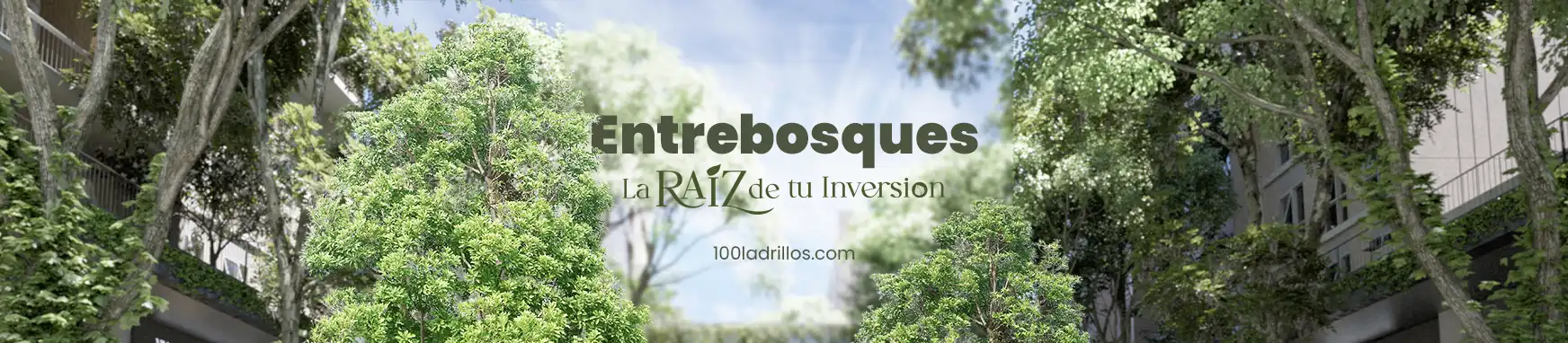 Portada para los términos y condiciones de la promoción "Entrebosques, la raíz de tu inversión"